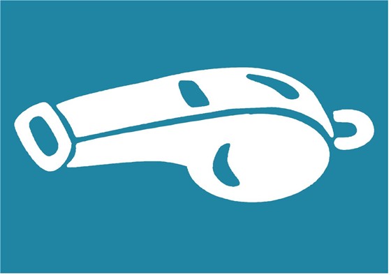 social,ethical,and human issues: standard BCS-CA1-1